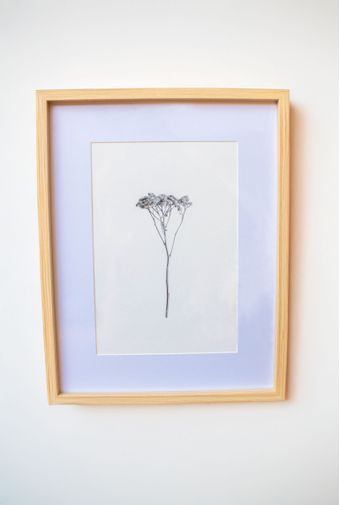 Quadro decorativo Botanico de inverno II -9- copiar.jpg